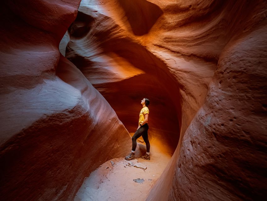 East Zion: Crimson Slot Canyon Exploration and UTV Tour - Key points at a glance