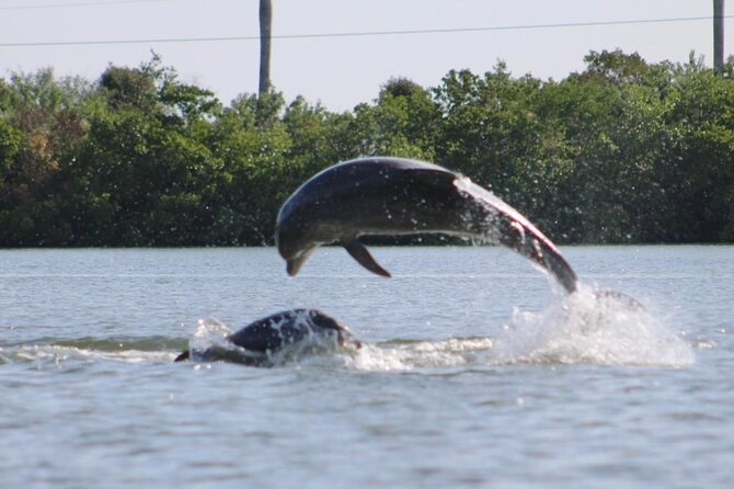 Easy Ride Pedal Kayak Tour Marco Island & Naples (Pedal or Paddle - Choosing between pedals, paddles, and a board