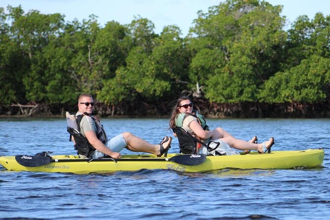 Easy Ride Pedal Kayak Tour Marco Island & Naples (Pedal or Paddle - Wildlife depends on the day