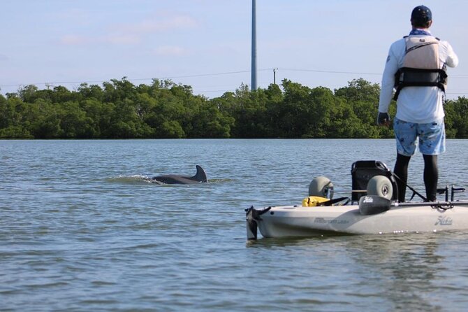 Easy Ride Pedal Kayak Tour Marco Island & Naples (Pedal or Paddle - What the two hours are worth