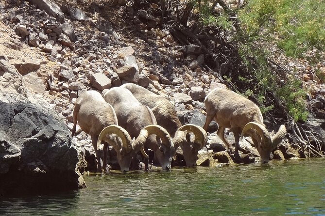 Emerald Cave & Black Canyon Kayak Tour with Vegas Pickup - What to Wear and What to Protect