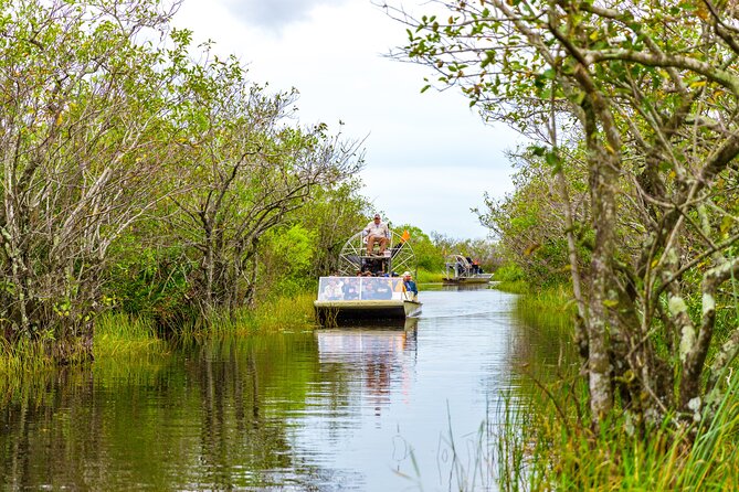 Everglades Airboat Safari Adventure with Transportation - Exhibits, animal areas, and the alligator show