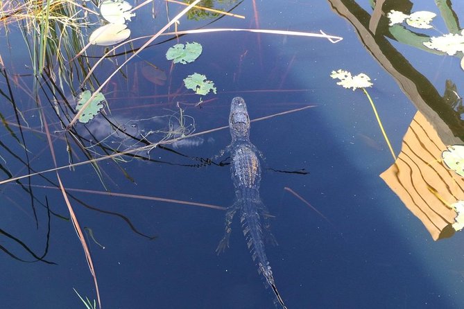 Everglades Airboat Safari Adventure with Transportation - The ride west toward the wetlands