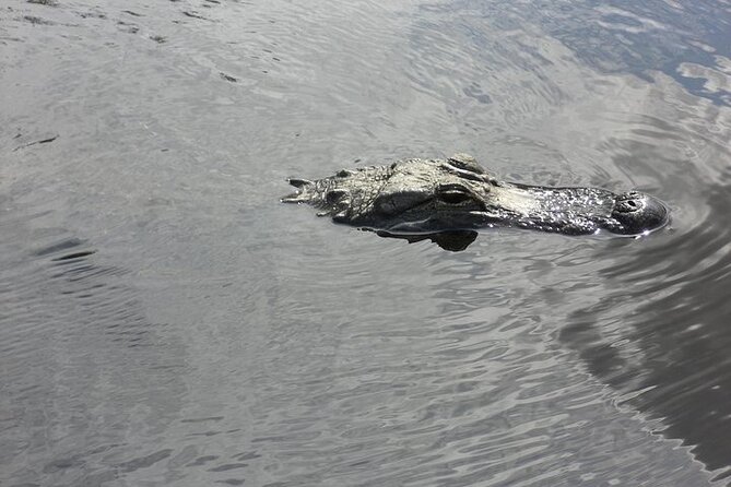 Everglades Airboat Tour from Fort Lauderdale with transportation - Pickup details can make or break the morning