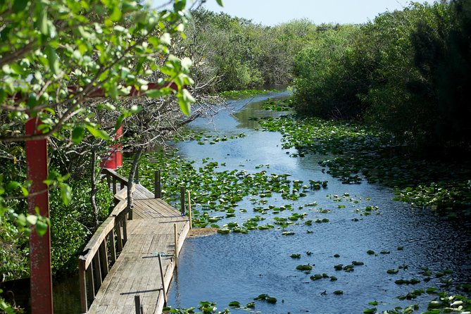 Everglades Airboat, Wildlife Show, and Roundtrip Bus From Miami - My verdict: book it for convenience, not wilderness