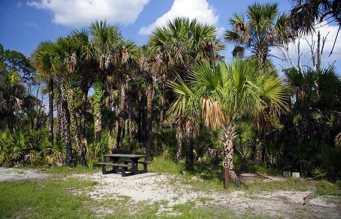 Everglades Day Safari from Ft Lauderdale - Key points before you book