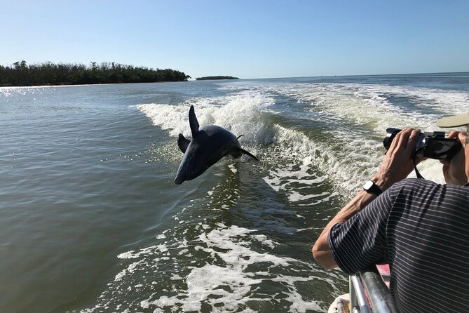 Everglades Day Safari from Ft Lauderdale - Why this Fort Lauderdale Everglades tour works so well