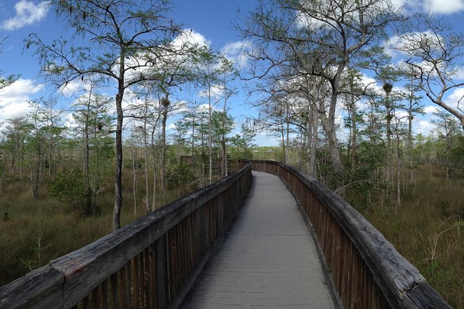 Everglades Day Safari from Ft Lauderdale - Big Cypress National Preserve by van and on foot