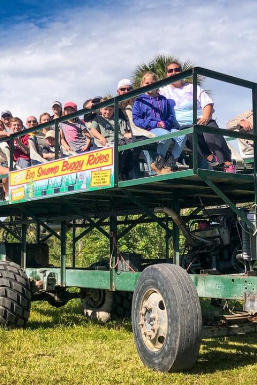 Everglades: Mangrove Maze Airboat Tour and Boardwalk - Should you book the Jungle Erv’s tour?