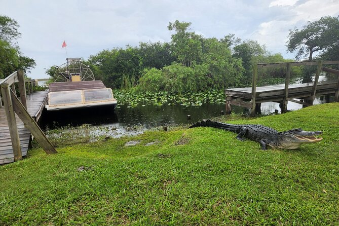 Everglades National Park Biologist Led Adventure: Cruise, Hike + Airboat - Big Cypress: the walking part of the day