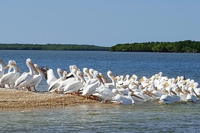 Everglades National Park Biologist Led Adventure: Cruise, Hike + Airboat - Smallwood Store and the Old Florida stops