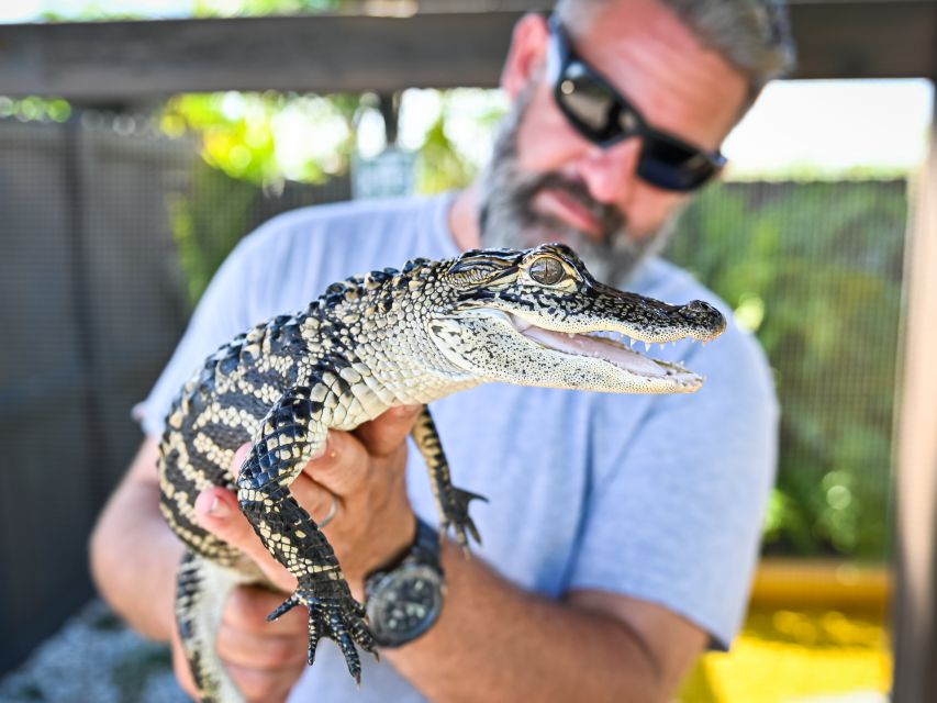 Everglades: Sawgrass Park Day Time Airboat Tour & Exhibits - Gliding through the Everglades for 40 minutes