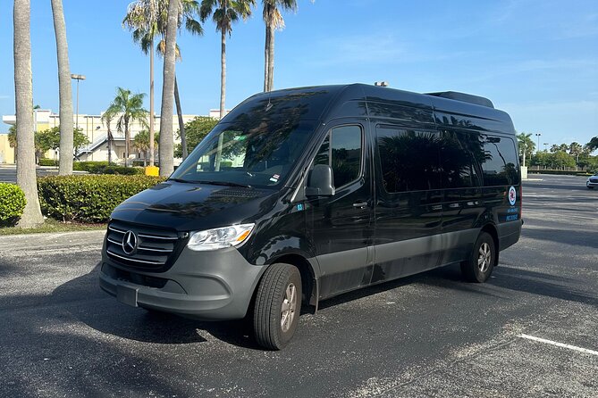 Everglades Small-Group Tour from Miami with Transportation - What this Miami to Everglades trip really offers