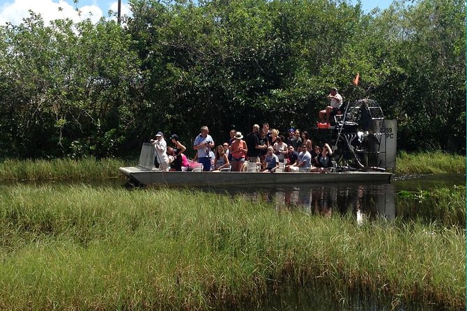 Everglades Small-Group Tour from Miami with Transportation - The rescued-alligator presentation
