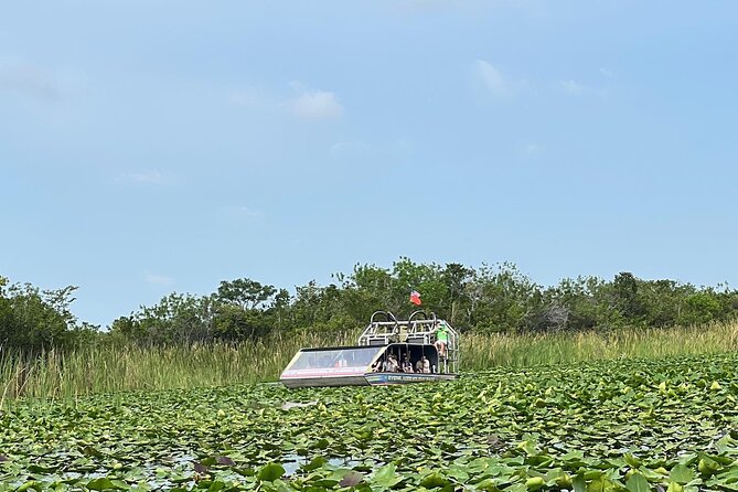 Everglades Small-Group Tour from Miami with Transportation - Is $82.98 a fair price?