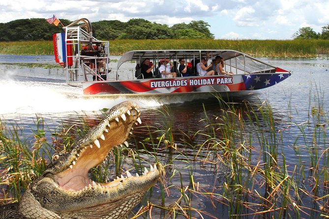 Everglades VIP Airboat Tour with Transportation Included - The Guide Commentary Adds Real Value