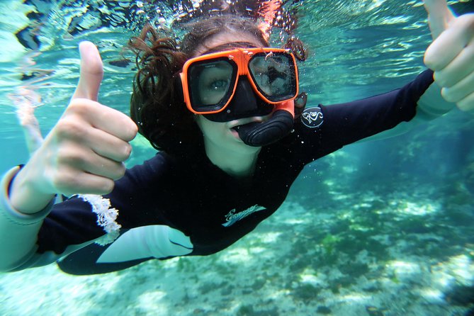Exclusive Small Group VIP Heated Manatee Snorkel Tour - Guides, captains, and the educational side