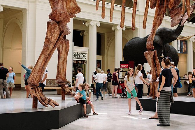 Field Museum of Natural History Admission Tickets - Timing, crowds, food, and extra costs