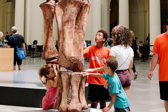 Field Museum of Natural History Admission Tickets - Is $29 a fair price?