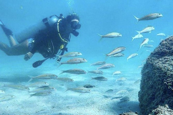 First-Time Scuba Diving in Honolulu + Free Videos - The equipment lesson comes before the fun