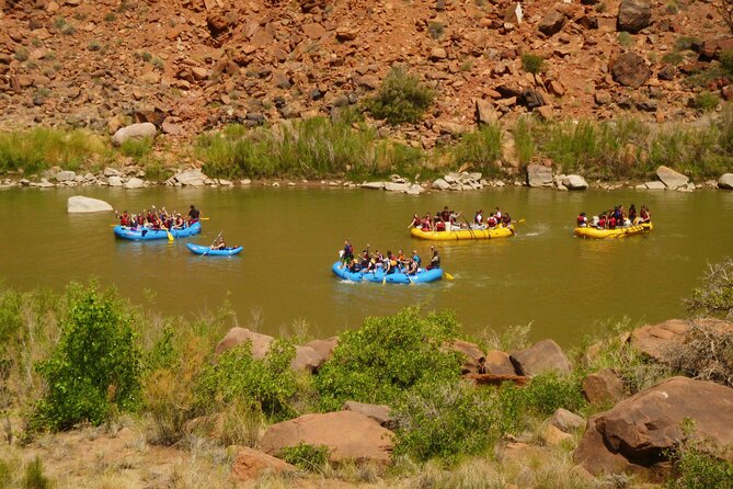 Fisher Towers Half-Day Rafting Day Trip from Moab - Swimming, splashing, and time on the water