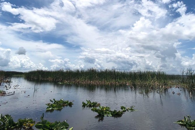 Florida Everglades Airboat Tour and Wild Florida Admission with Optional Lunch - Who should book this experience