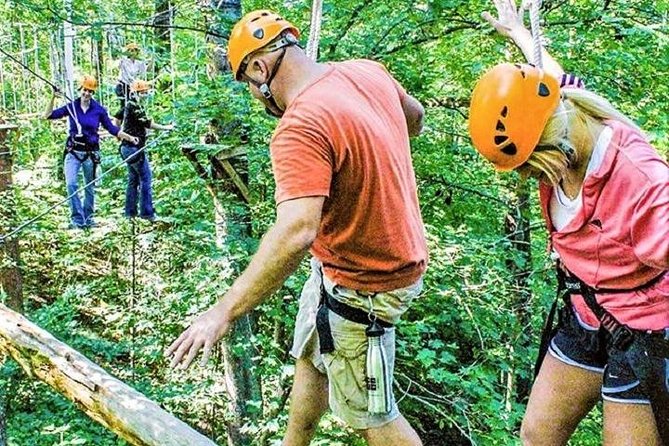 Fontanel Zipline Forest Adventure at Nashville North - Key Points to Know