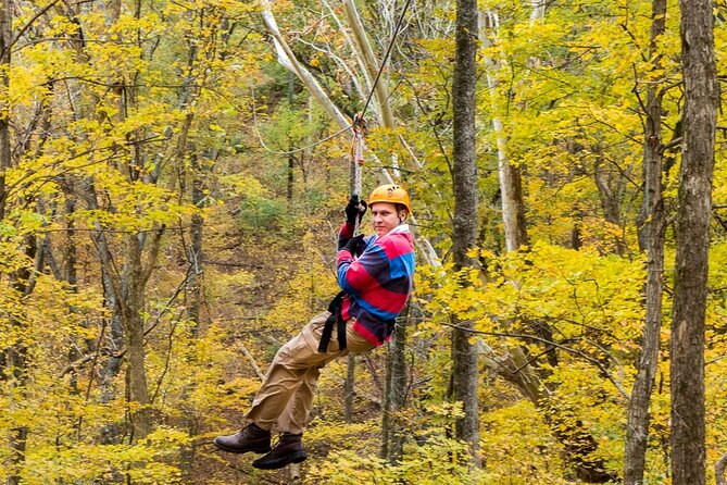 Fontanel Zipline Forest Adventure at Nashville North - Weather, Clothing, and Timing