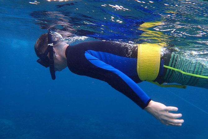Four Winds Molokini Snorkeling Tour from Maalaea Harbor - Why Molokini is worth the boat ride