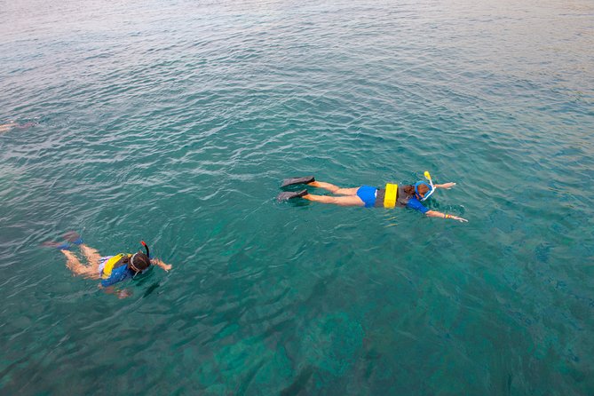 Four Winds Molokini Snorkeling Tour from Maalaea Harbor - Glass-bottom viewing for non-swimmers