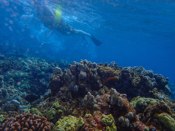 Four Winds Molokini Snorkeling Tour from Maalaea Harbor - Starting early at Maalaea Harbor