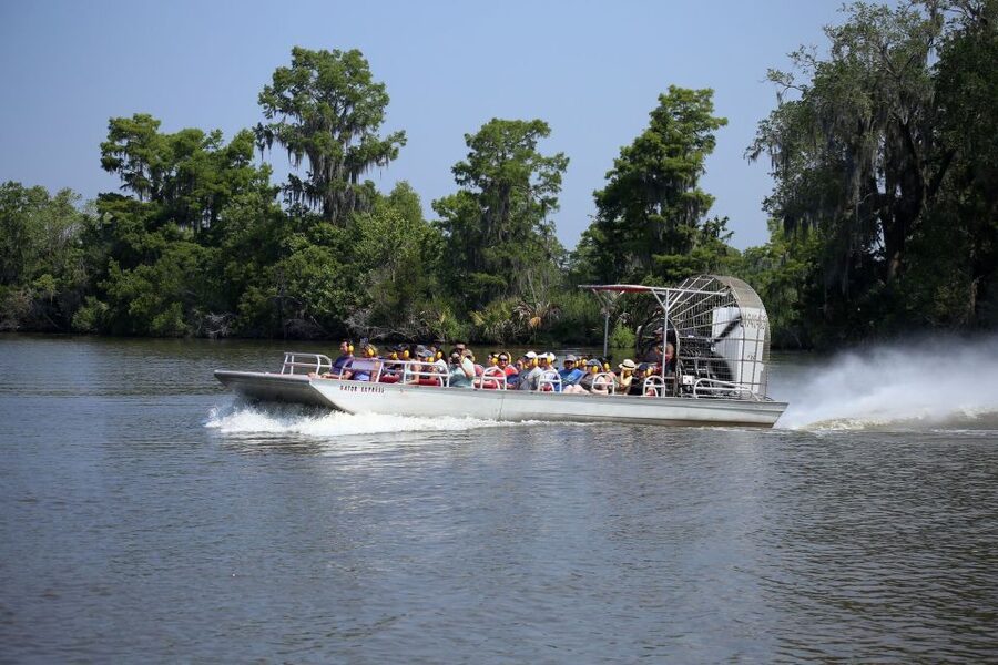From Lafitte: Swamp Tours South of New Orleans by Airboat - Searching the canals for alligators