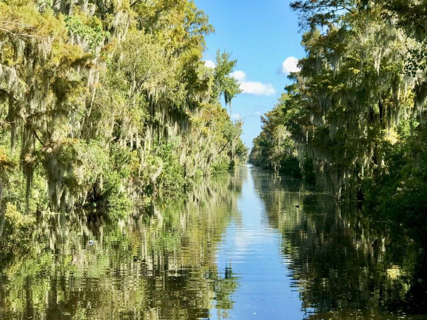 From Lafitte: Swamp Tours South of New Orleans by Airboat - Weather, comfort, and practical limits