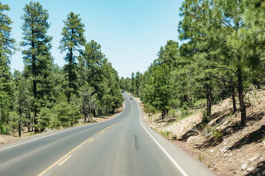 From Las Vegas: Grand Canyon South Rim Day Trip - Food options and the Arizona diner stop