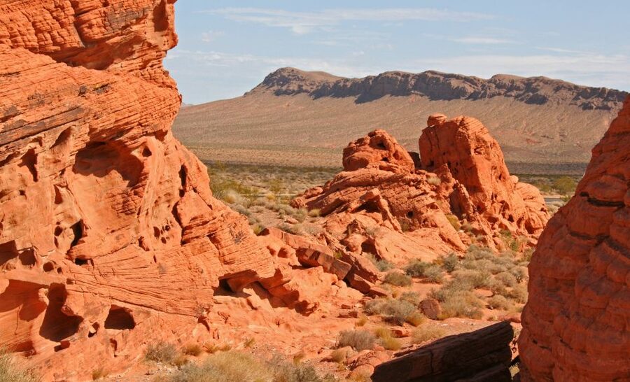 From Las Vegas: Valley of Fire State Park Tour - Petrified Trees and 4,000-Year-Old Petroglyphs