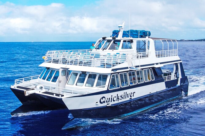 From Maalaea: Whale Watching Tour Aboard the Quicksilver - Key points to know before booking