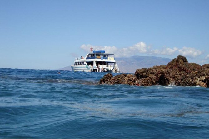 From Maalaea: Whale Watching Tour Aboard the Quicksilver - Families, children, and practical comfort