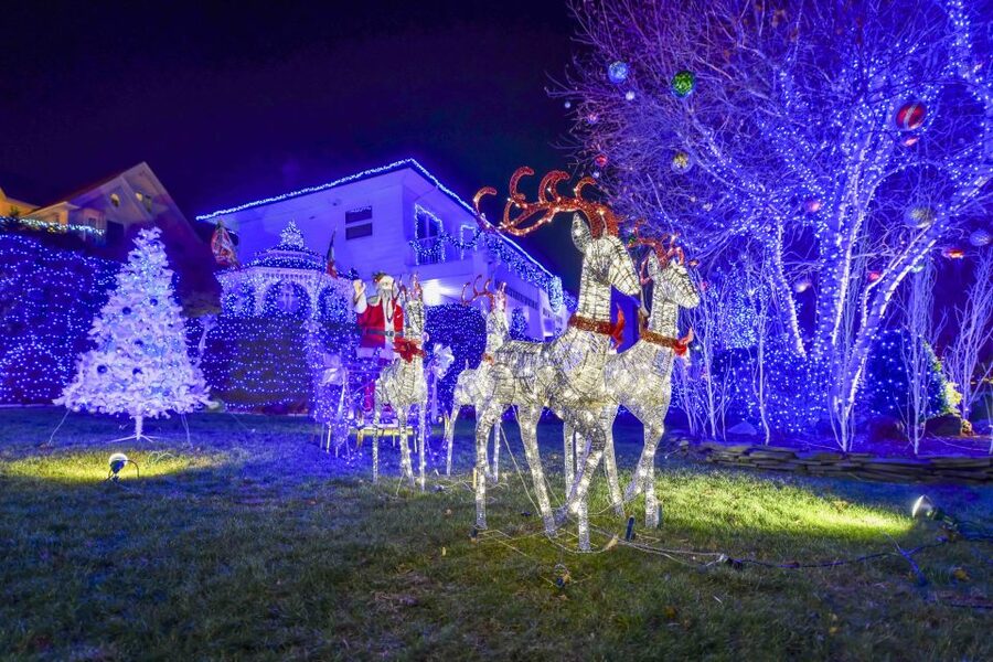From Manhattan: Dyker Heights Lights & Skyline Tour - Who will enjoy this tour most