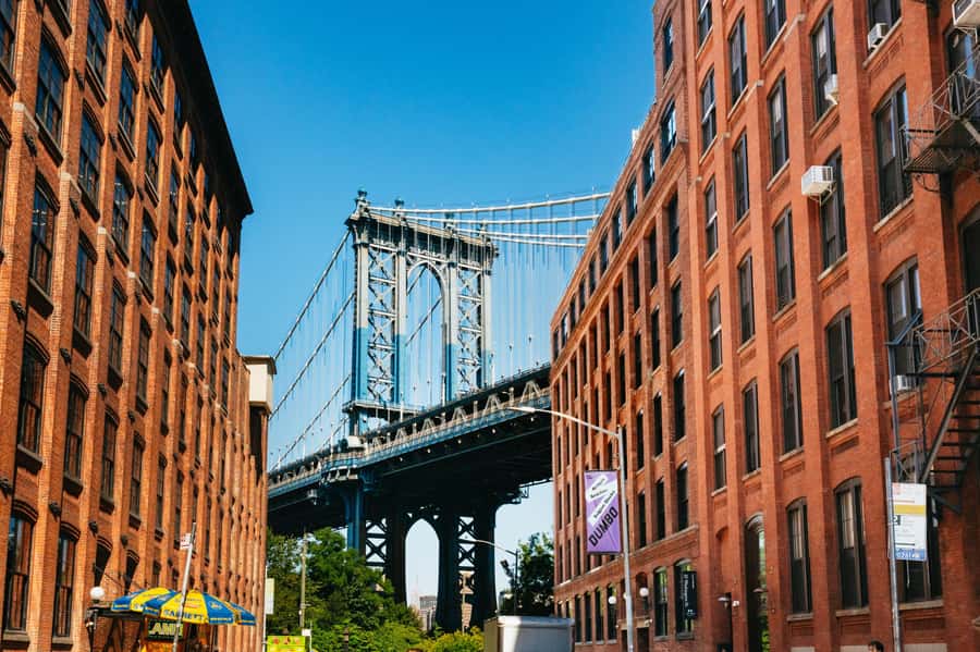 From Manhattan: Full-Day NYC Boroughs and Coney Island Tour - Harlem and the Apollo Theater