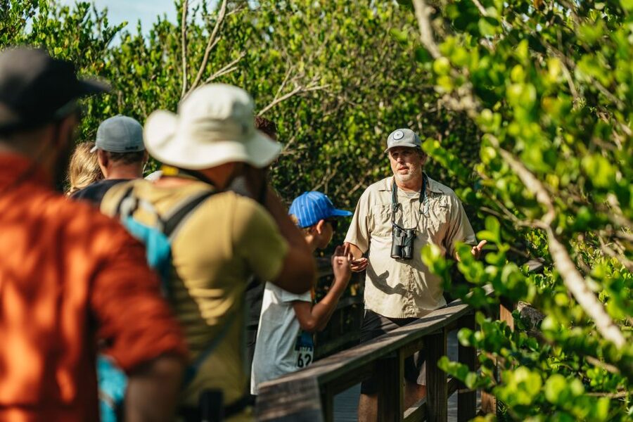 From Miami: Everglades Airboat Ride and Nature Walk - Five reasons this Everglades trip is worth considering
