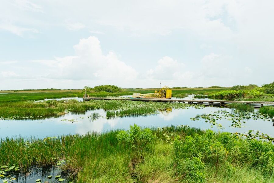 From Miami: Everglades Airboat Ride and Nature Walk - From Miami hotels to the edge of the Everglades