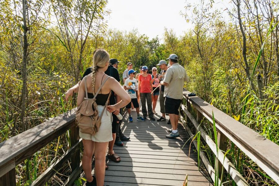 From Miami: Everglades Airboat Ride and Nature Walk - Who should book this Everglades experience?