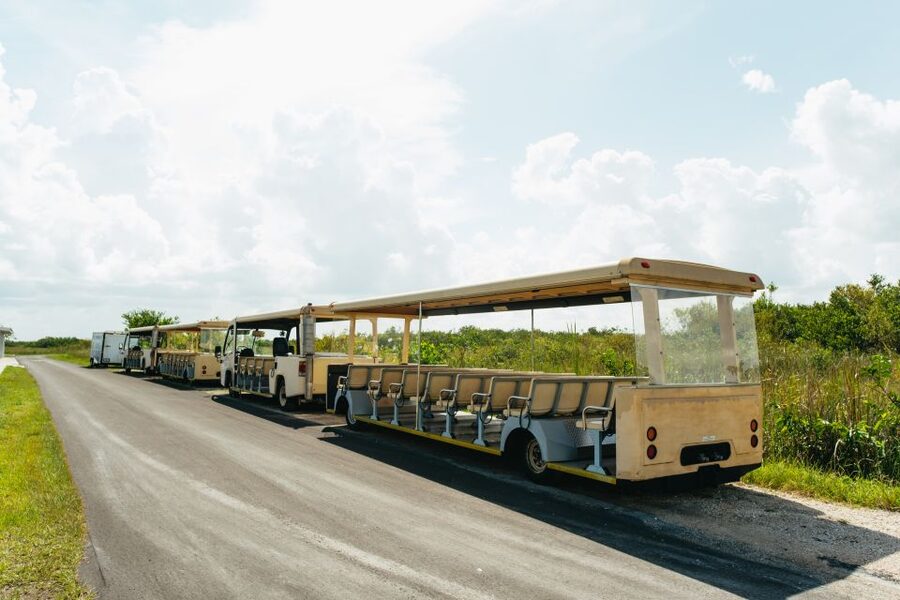 From Miami: Everglades Airboat Ride and Nature Walk - The nature walk reveals the Everglades beyond the postcard