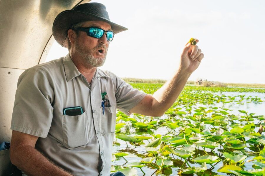 From Miami: Everglades Airboat, Wildlife Show & Bus Transfer - Should you book this Miami Everglades trip?