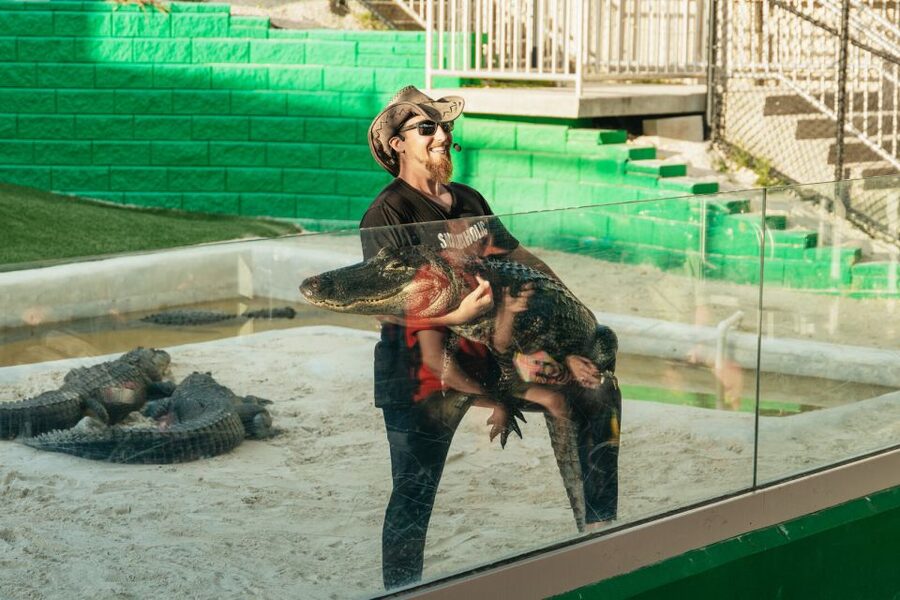 From Miami: Everglades Airboat, Wildlife Show & Bus Transfer - What the wildlife show adds