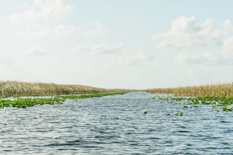 From Miami: Everglades Airboat, Wildlife Show & Bus Transfer - Is $49 a fair price?