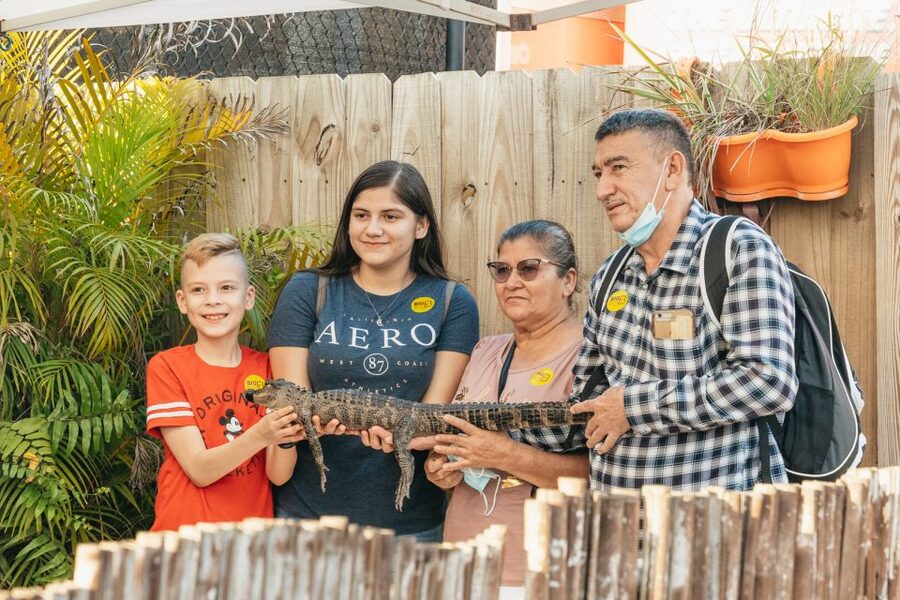 From Miami: Everglades Airboat, Wildlife Show & Bus Transfer - Who will enjoy this tour most?