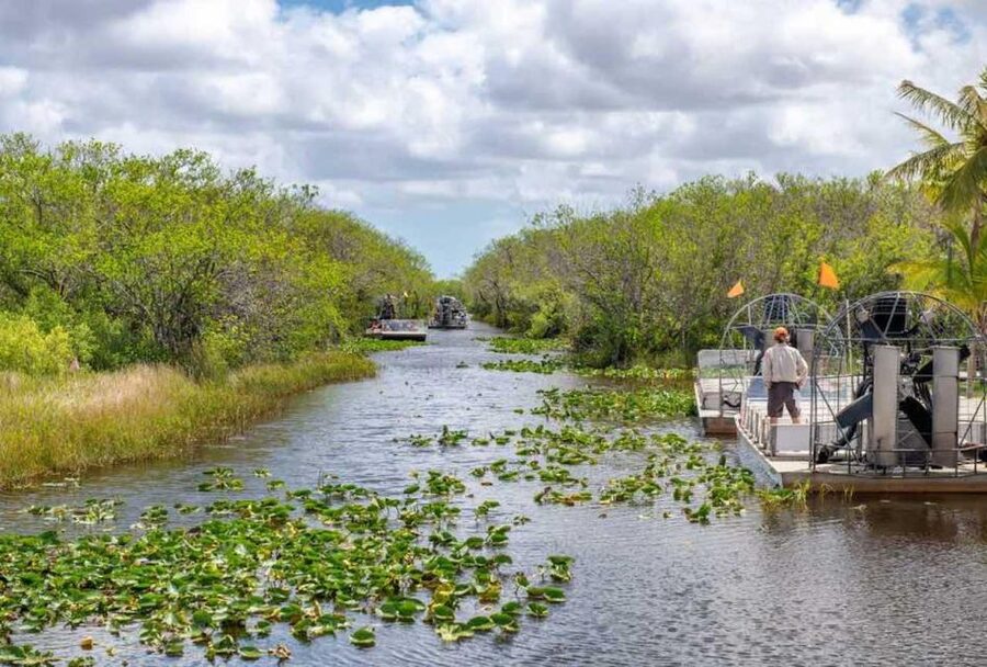 From Miami: Everglades Wildlife Show, Airboat & Bus Transfer - My final take on the Miami Everglades tour