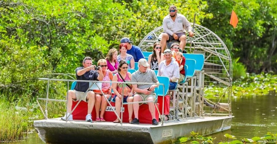 From Miami: Everglades Wildlife Show, Airboat & Bus Transfer - The wildlife presentation brings you closer