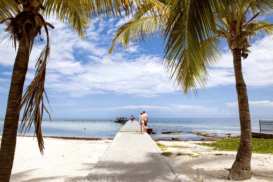 From Miami: Key West Day Tour by Motor Coach Bus - Hemingway’s House, the Southernmost Point, and Duval Street